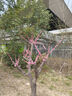 艾莫迅 usb轉(zhuǎn)422485通訊轉(zhuǎn)換器USB轉(zhuǎn)九針串口線連接轉(zhuǎn)接工業(yè)級usb轉(zhuǎn)rs485模塊COM口 USB轉(zhuǎn)RS485/422 轉(zhuǎn)接頭 1.5 曬單實(shí)拍圖