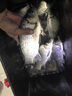 云飛魚日本高端碳氟線正品路亞前導(dǎo)線釣魚線耐磨主線柔軟子線套裝尼龍線 120米碳氟線單卷【墨綠色】 1.5號(hào) 曬單實(shí)拍圖