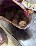 特級大果荔枝干1斤-5斤批發(fā)肉厚小核糯米糍福建妃子笑橘 荔枝干 1500g 曬單實拍圖