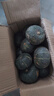 星派果（XINGPAIGUO）正宗貝貝南瓜9斤栗香小南瓜粉糯香甜粉面貝貝味老南瓜板栗南瓜 貝貝南瓜 5斤 裝 曬單實(shí)拍圖