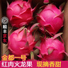 憶京源海南紅心火龍果 金都一號紅肉蜜寶火龍果新鮮水果孕婦時(shí)令生鮮 5斤實(shí)惠中果【約7-9個(gè)】 曬單實(shí)拍圖