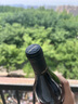 VINA POMAL鉑瑪酒莊世紀(jì)甄選特釀?wù)洳馗杉t葡萄酒2015年750mL名莊送禮 冰袋 曬單實(shí)拍圖