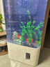 美諾魚缸客廳半圓型魚缸屏風(fēng)大中小型家用落地式玻璃金魚缸生態(tài)免換水 白冰花 60*40*138 曬單實拍圖
