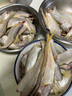 新鮮黃鯽魚黃尖子魚當(dāng)潮海鮮馬口魚毛扣魚油扣魚烤子魚野生海捕魚 2500g 黃鯽魚 曬單實(shí)拍圖