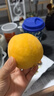 京覓黃桃水果蒙陰桃子新鮮黃金蜜桃 凈重4.5斤 單果130g起 源頭直發(fā) 曬單實拍圖