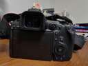 佳能EOS R5 MarkII 佳能r5二代 mark2全畫幅專業(yè)微單相機(jī) 8K視頻 Vlog相機(jī)r52旗艦全畫幅 R5 二代單機(jī)身 現(xiàn)貨速發(fā) 官方標(biāo)配【官方標(biāo)配 建議購買套餐】 曬單實(shí)拍圖
