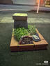 京東京造蘇州雙宮繭100%桑蠶絲被 夏被 非遺工藝A類被子被芯2.2x2.4m約4斤 曬單實(shí)拍圖