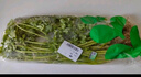 有機匯香菜 芫荽 香料食材 新鮮采摘 有機蔬菜基地 調味沙拉蔬菜 250g 曬單實(shí)拍圖