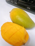 海南小臺(tái)農(nóng)芒果9斤新鮮現(xiàn)摘小臺(tái)芒應(yīng)當(dāng)季時(shí)令熱帶水果整箱甜心芒 9斤 【大果】精選裝 曬單實(shí)拍圖