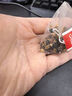 易卜生肉蓯蓉淫羊藿巴戟天鎖陽黃精五味子菟絲子沙苑子山茱萸養(yǎng)生茶男士覆盆子枸杞桑葚泡水中藥材 男人十寶【肉蓯蓉鎖陽淫羊藿】45小包 曬單實拍圖