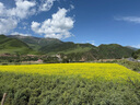蕉下（beneunder）雙肩包女包背包小型輕便書包登山包旅行運動通勤包禮物送女生咖 曬單實拍圖