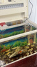 森森（SUNSUN）魚(yú)缸原廠(chǎng)標配水泵HR原裝水泵HE原裝水泵配件 HE480/600標配的水泵(HQJ-700G白) 曬單實(shí)拍圖