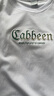 卡賓（CABBEEN）【涼感】索羅那短袖T恤男2024夏季新款漸變圓領(lǐng)潮流 米白色12 L /175/50 曬單實拍圖