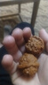 彩荷文玩核桃小白獅子淶水核桃手把件古玩麻核桃 曬單實(shí)拍圖