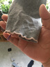 浪莎兒童打底褲夏季2025新款九分褲韓版中大童女寶寶百搭外穿女童褲子 曬單實(shí)拍圖