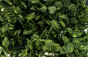 匠心綻放仿真藤條樹(shù)葉綠籮假綠植空調(diào)管道遮擋裝飾藤蔓植物藤條5條裝20193 曬單實(shí)拍圖