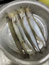 【JD&順豐】 多春魚生鮮 滿籽多籽 新鮮魚鮮活凍特大海魚海鮮 多春魚 30斤 家庭裝 高端食材 曬單實拍圖