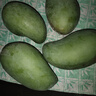 小博生鮮正宗廣西金煌芒當(dāng)季新鮮水果現(xiàn)摘芒果甜心芒果青皮大芒果大青芒 凈重2.5-3斤單果150g+ 曬單實(shí)拍圖