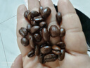 京東京造 意式拼配咖啡豆500g  醇巧克力100%阿拉比卡深度烘焙 黑咖啡 曬單實拍圖