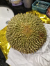 什果樂黑刺榴蓮（D200）馬來西亞進口帶殼整果冷凍液氮水果 優(yōu)享果3.1-3.6斤（保5房） 曬單實拍圖
