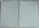名遇學(xué)科活頁本b5筆記本子高顏值可拆卸外殼小學(xué)初高中生錯題英語課堂分科目線圈本120頁 3本語數(shù)英 曬單實拍圖