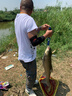 薇歐漫鋼筋桿魚竿高碳鯽手竿28調(diào)19調(diào)超輕超細(xì)超硬臺(tái)釣竿碳素釣手竿 1m 鯽魚竿6.3米5H19調(diào)+竿稍+禮包 曬單實(shí)拍圖
