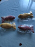 柒哦貓玩具自嗨解悶貓薄荷仿真麻布魚(yú)幼貓貓咪逗貓棒小貓磨牙寵物用品 靜音【麻布黃魚(yú)+紅魚(yú)】 曬單實(shí)拍圖