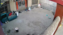 域云家用攝像頭手機(jī)遠(yuǎn)程監(jiān)控器360度無(wú)死角帶夜視全景語(yǔ)音自動(dòng)旋轉(zhuǎn)可對(duì)話室內(nèi)外看老人小孩寵物監(jiān)控 室外防雨4G【0充值0費(fèi)用】無(wú)需裝寬帶+全功能 WIFI標(biāo)準(zhǔn)版+送云存儲(chǔ)3天【自購(gòu)內(nèi)存卡方可本地】 曬單實(shí)拍圖
