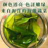 趕海弟 海帶苗250g 鹽漬新鮮嫩苗 海帶芽絲結(jié) 涼拌菜 火鍋食材 海鮮干貨 曬單實(shí)拍圖