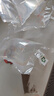 卡奇魚 孔雀魚 鳳尾魚 胎生魚 熱帶觀賞魚淡水活體魚小型魚純種好養(yǎng)易活 全紅孔雀魚1對 曬單實拍圖