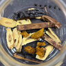 北京同仁堂特價(jià)西藏野生靈芝林芝赤芝干貨整朵赤靈芝野生整枝一斤裝特價(jià) 精選大朵靈芝野生500克 曬單實(shí)拍圖