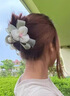 兩世歡輕奢氣質(zhì)花朵一字抓夾女2025新款高級感發(fā)夾后腦勺超仙鴨嘴夾頭飾 花朵一字抓夾 曬單實拍圖
