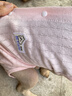 MIKI PAD狗狗衣服春夏季薄款包護(hù)肚衣絕育服術(shù)后防舔貓咪衣服透氣防掉毛 背心護(hù)肚衣-粉色#可做絕育服 XL 胸圍50背長(zhǎng)39（建議11-17斤） 曬單實(shí)拍圖