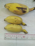 廣供天下廣西小米蕉小香蕉自然熟迷你香蕉蘋(píng)果蕉小芭蕉新鮮水果特產(chǎn)青蕉發(fā) 帶箱9-10斤 曬單實(shí)拍圖