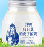 蘭格格 草原烏日莫奶皮子酸奶(560g+60g)*1桶生鮮低溫酸牛奶 老酸奶大桶 曬單實拍圖