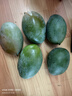 京鮮生 攀枝花凱特芒 凈重8.5斤 帶箱9斤 單果600g+ 生鮮水果 源頭直發(fā) 曬單實(shí)拍圖