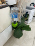 史丹利自動澆水器澆花神器花盆定時(shí)植物懶人用綠植花卉家用滴水器2個(gè)裝 曬單實(shí)拍圖