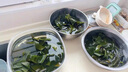鹽漬海帶頭 精選頭部 肉質(zhì)厚實(shí) 脆嫩爽口 帶箱5斤*1箱 曬單實(shí)拍圖