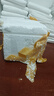 厚秀堂 景德鎮(zhèn)喬遷新居餐具套裝碗盤家用碗碟套裝骨瓷網(wǎng)紅輕奢歐式簡約 6英寸高腳面碗（2個）藍(lán)色之戀 曬單實拍圖