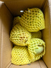 京鮮生 河北青翠蜜梨 凈重4.5斤 單果250g+ 青皇冠梨 生鮮水果 源頭直發(fā) 曬單實(shí)拍圖