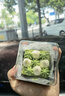 伊利金領(lǐng)冠悠滋小羊（低敏好吸收）3段1-3歲羊奶粉700g新老包裝隨機(jī)發(fā) 曬單實(shí)拍圖