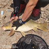 熊火釣魚失手繩20M大物水庫護(hù)桿繩自動(dòng)伸縮尼龍彈力防脫繩溜魚器 曬單實(shí)拍圖