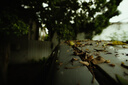 永諾超廣角 YN11mm F1.8S DA DSM WL E卡口半畫幅自動對焦鏡頭 11mm F1.8S DA 58mm 曬單實拍圖