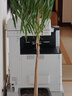 佳能（Canon）NPG-67彩色墨粉 碳粉盒適用iRC3020/3025/3320/3325/3520 NPG-67四色一套(普通裝) 【佳能原裝】 曬單實(shí)拍圖