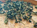 安溪鐵觀(guān)音2025新茶鮮茶安溪鐵觀(guān)音茶葉秋茶濕茶冰茶帶梗毛茶蘭花香500g新鮮 曬單實(shí)拍圖