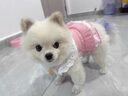 寵物貓咪狗狗衣服薄款牛仔牽引裙公主小型幼犬泰迪博美比熊春夏裝 HN甜心牛仔胸背裙-粉色 M碼(大約適合4-5斤) 曬單實拍圖