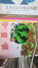 小羊上山兒童漢語(yǔ)分級讀物第1級（套裝共10冊）3-6歲兒童繪本識字書(shū)幼兒園推薦分級閱讀睡前故事書(shū)暑假作業(yè) 一升二暑假銜接 小升初暑假銜接 曬單實(shí)拍圖