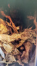 江小傲凍干貓咪零食鵪鶉多春魚滿籽即食寵物貓零食鱈魚純?nèi)鈨龈闪闶?鵪鶉凍干1包(80g) 曬單實(shí)拍圖