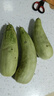山東濰坊羊角蜜甜瓜新鮮香蜜瓜現摘頭茬應季水果甜瓜5現摘現發(fā) 5斤大果【現摘現發(fā)頭茬】 曬單實(shí)拍圖