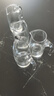 CLITON白酒杯分酒器 倒酒器家用帶刻度分酒壺小酒盅100ml 白酒壺6只套裝 曬單實(shí)拍圖